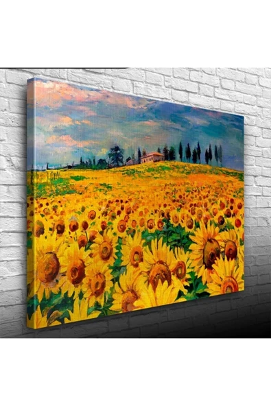 Ayçiçek Tarlası Canvas Tablo (50x70) ürün görseli 1