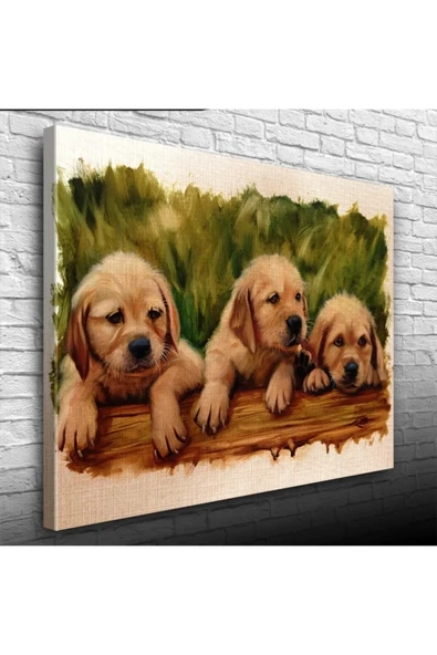 Yavru Köpekler Canvas Tablo (50x70) ürün görseli 1