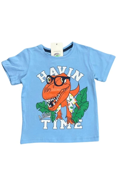 Baskılı Şortlu Erkek Çocuk Takım - Resim 6