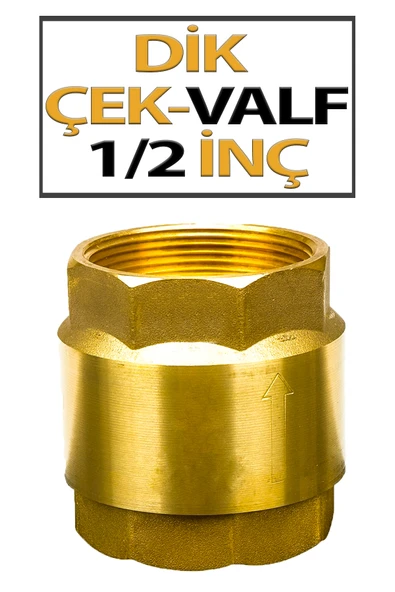 1X1/4 'lük Dik Çek valf (Pirinç Malzeme) ürün görseli 1