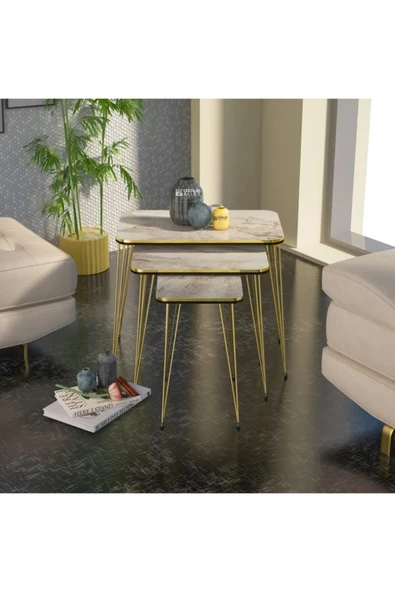 Zigon Sehpa Kr Çift Gold Efes Tel - Resim 4