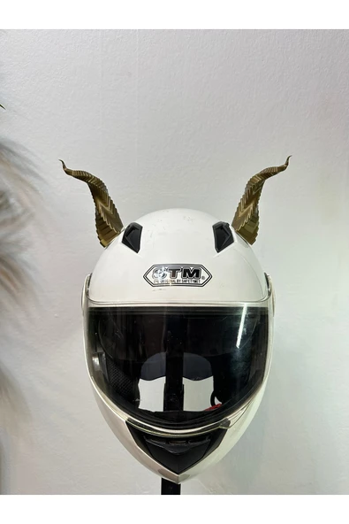 Butik Motor & Motosiklet Gold Viking Boynuz Kask Dış Aksesuarı ürün görseli 1