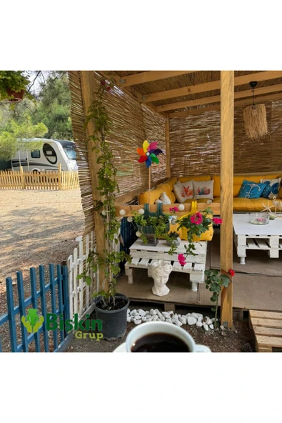70 CM X 6 Metre Bamvu Kamış Hasır Çit, Misina İpli Bahçe Ve Balkon Dekorasyonu, Gölgelik Reedfence ürün görseli 1