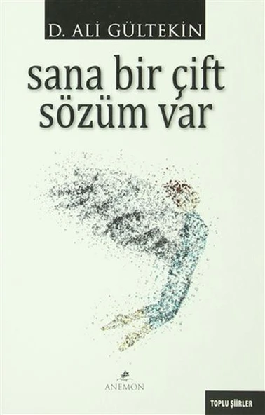 Sana Bir Çift Sözüm Var ürün görseli 1