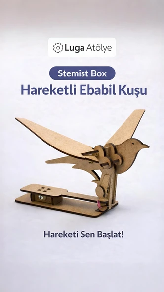 Stemist Box: Hareketli Ebabil Kuşu ürün görseli 1