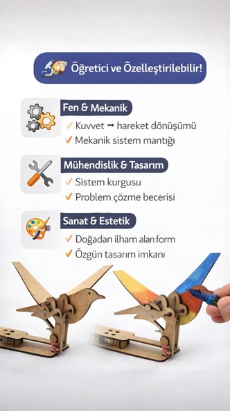 Stemist Box: Hareketli Ebabil Kuşu - Resim 2