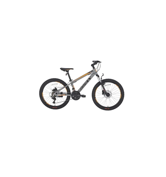BİSAN COOPER ERKEK DAĞ BİSİKLETİ 30 CM HD 24 JANT 21 VİTES AÇIK GRİ SİYAH TURUNCU ürün görseli 1