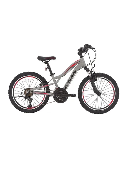 BİSAN BUFFALO ERKEK DAĞ BİSİKLETİ 30CM V 24 JANT 18 VİTES MATALİK GRİ SİYAH KIRMIZI ürün görseli 1