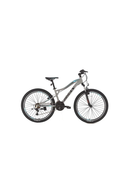 BİSAN BUFFALO ERKEK DAĞ BİSİKLETİ 37CM V 27.5 JANT 21 VİTES METALİK GRİ SİYAH MAVİ ürün görseli 1