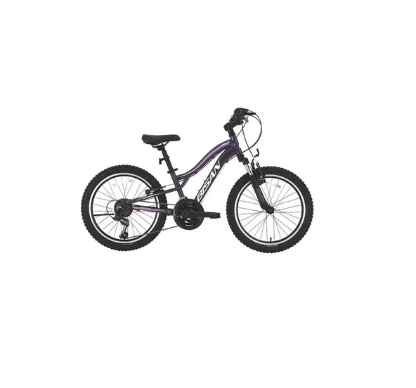 BİSAN GAZELLE KIZ ÇOCUK BİSİKLETİ 28CM V 20 JANT 18 VİTES METALİK MOR AÇIK PEMBE ürün görseli 1