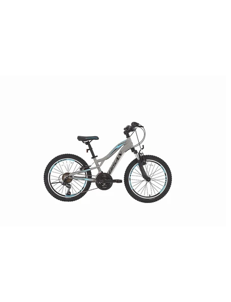 BİSAN BUFFALO ERKEK DAĞ BİSİKLETİ 30CM V 24 JANT 18 VİTES MATALİK GRİ SİYAH MAVİ ürün görseli 1