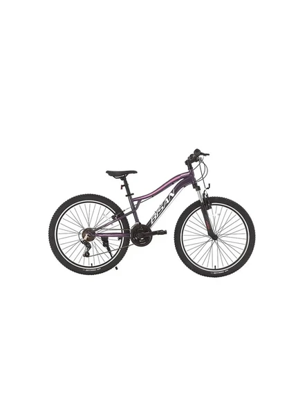 BİSAN GAZELLE KADIN DAĞ BİSİKLETİ 35CM V 26 JANT 21 VİTES METALİK MOR AÇIK PEMBE ürün görseli 1