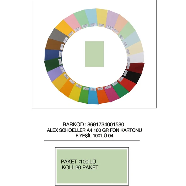 Alex Schoeller Fon Kartonu 160 GR A4 04 Fıs Yeşili ürün görseli 1