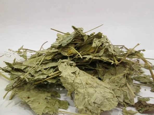 Aslan Pencesi (Testere Dişli) 250 gr - Resim 2