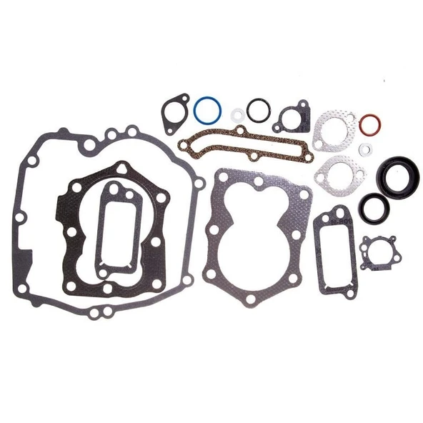 Briggs&Stratton B590508 Conta Takımı - B&S 625 ürün görseli 1