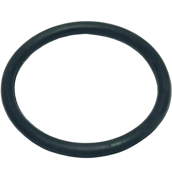 Palmera 20TH1512 Su Difizör O-Ringi - Palmera PA15TH, PA20TH ürün görseli 1