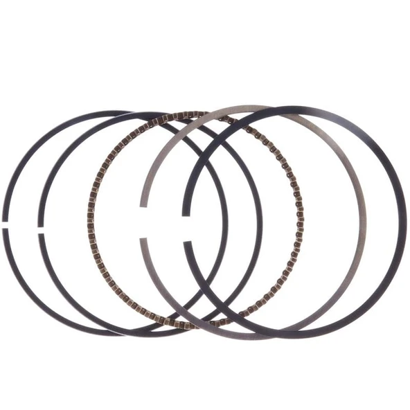 Palmera DM460219 Segman Takımı - Palmera DM46P-DO140 ürün görseli 1