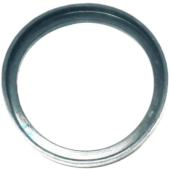 Palmera HP1D1008 Su Difüzörü O-Ringi 4'' - Palmera PA-HP100DE, SDP40E ürün görseli 1