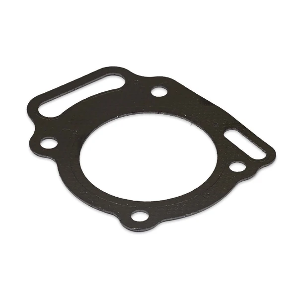 Briggs & Stratton Silindir Kafa Contası 807986 - Resim 3