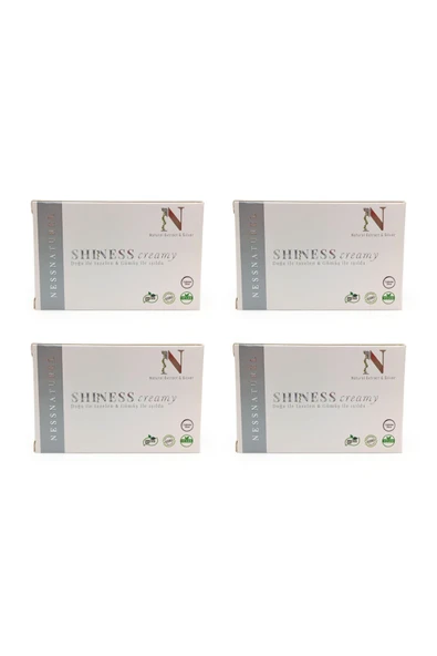 Naturel Extract & Silver Shiness Colloidal Gümüş Sabunu 100 Gr 4'lü Paket ürün görseli 1