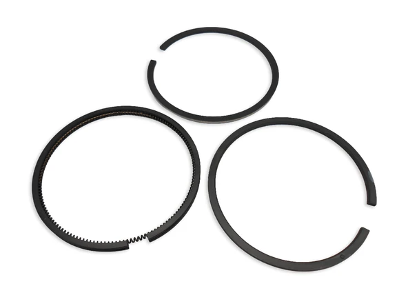 Briggs & Stratton Segman Takımı Std 394959 - Resim 3