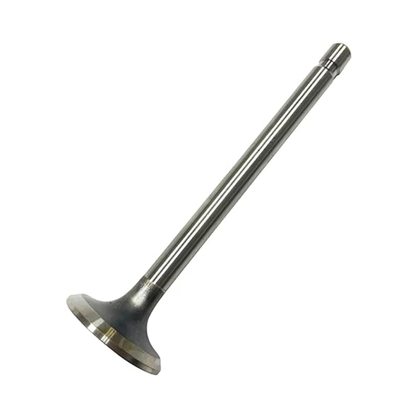 Briggs & Stratton Egzoz Supabı B&S 262246 ürün görseli 1