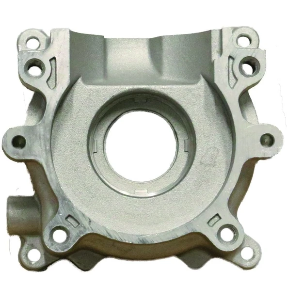 Palmera Q253817 Karter Starter Tarafı - Palmera QGZ25A ürün görseli 1