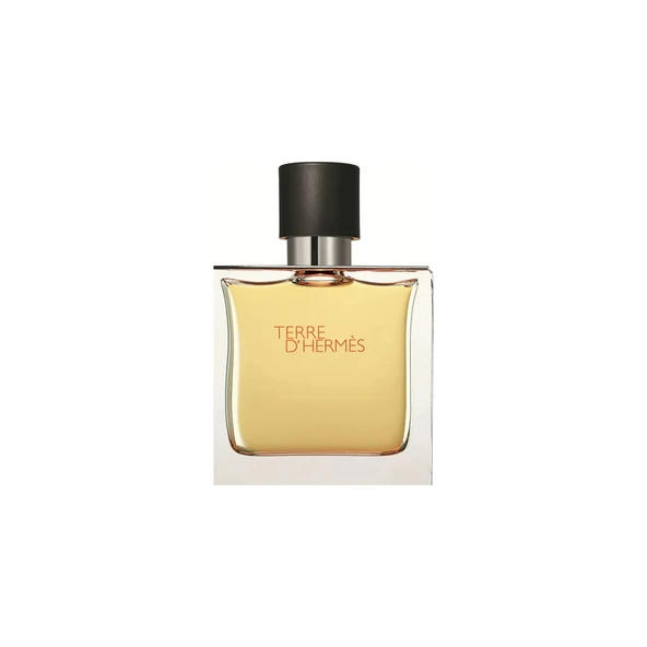 HERMES Terre D'hermes Edt 100 ml Erkek Parfüm ürün görseli 1