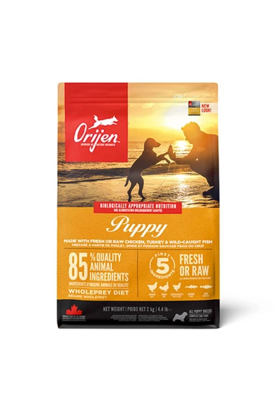 ORİJEN Puppy Tahılsız Tavuklu Yavru Köpek Maması 2 Kg ürün görseli 1