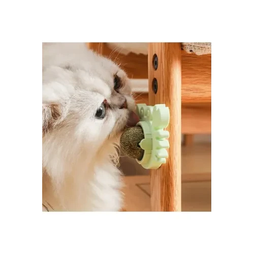Yengeç Kedi Otu Oyun Topu - Resim 9