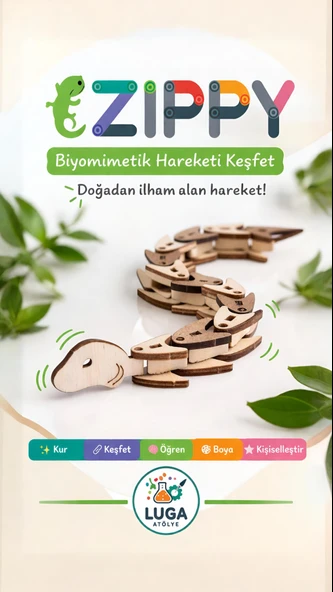 Stemist Box: Zippy ürün görseli 1