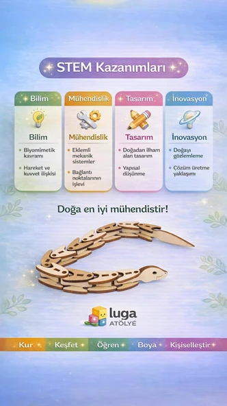 Stemist Box: Zippy - Resim 3