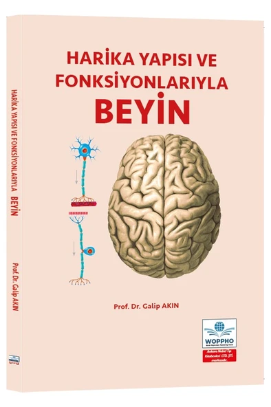 Harika Yapısı ve Fonksiyonlarıyla BEYİN ürün görseli 1