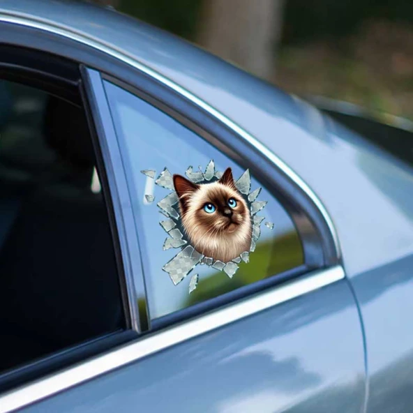 Fulcar Siamesse Araç Stickerı ürün görseli 1