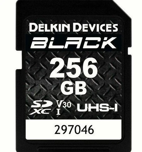 Delkin Devices 256GB BLACK UHS-I V30 SDXC Hafıza Kartı ürün görseli 1