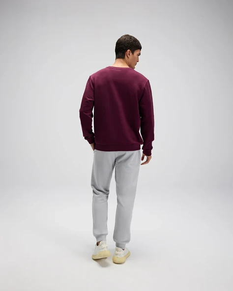 ELLESSE Armalı Erkek Sweatshirt AEM579 - Resim 5