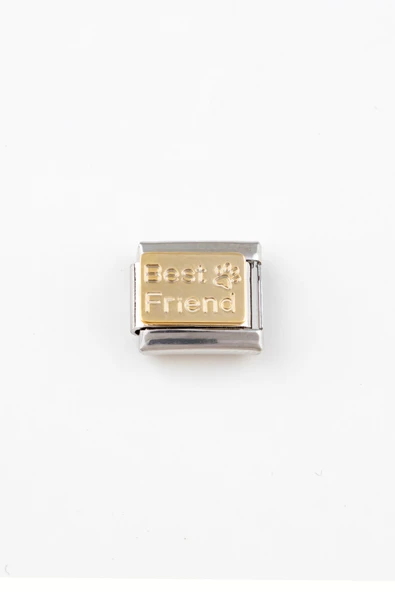 Sortie Aksesuar Best Friend Pati Figürlü Paslanmaz Çelik Italyan Charm Bileklik Kişiselleştirme Eki Link 046 ürün görseli 1