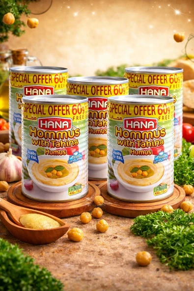 HANA HUMUS (NOHUT EZMESİ) - HOMMUS 400 GR X5 ADET ürün görseli 1
