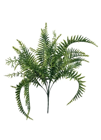 Yapay Çiçek Plastik Cycas Aşk Merdiveni Eğrelti Otu Sıkas Bitkisi 18Yaprak 50*50cm Yapay Bitki ürün görseli 1