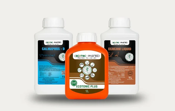 Ecotec Pharma Besleyici 3'lü Set (1 Litre) Vitamin-İştah Açıcı-Yumurta Verimi Kemik ürün görseli 1