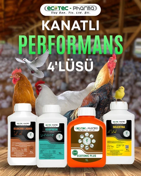 Ecotec Pharma Performans 4'lüsü - 4 Adet 1 Litre - Resim 2