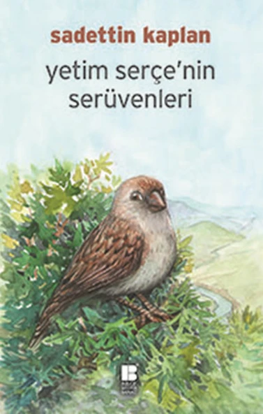 Yetim Serçe'nin Serüvenleri ürün görseli 1
