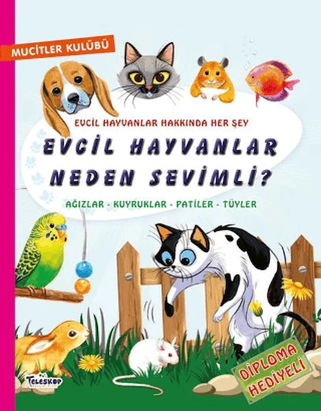 Evcil Hayvanlar Neden Sevimli? ürün görseli 1