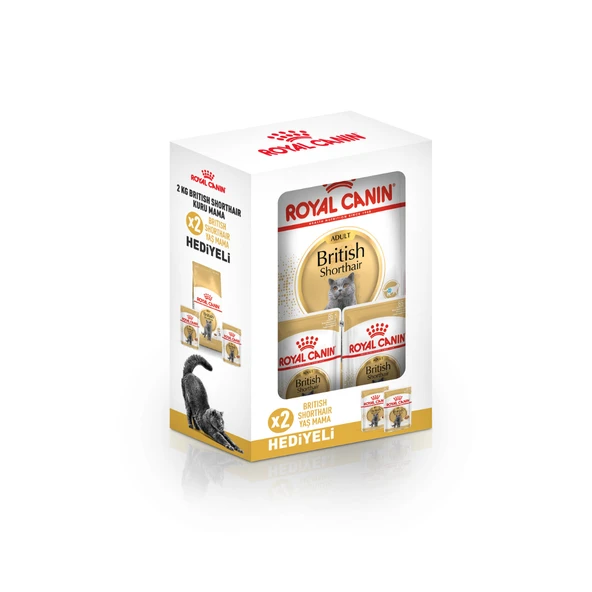 British Shorthair Yetişkin Kedi Maması 2 kg 2 Adet Pouch Hediyeli ürün görseli 1