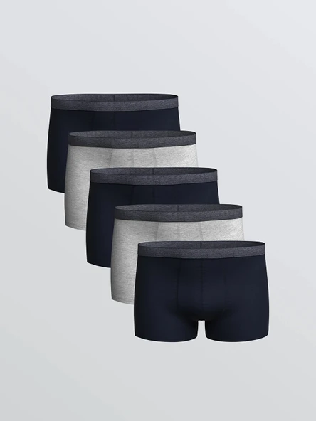 LC WAIKIKI Lacivert Standart Kalıp Pamuklu Esnek Erkek Boxer 5'li ürün görseli 1