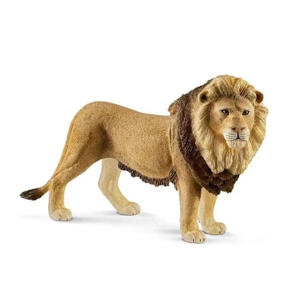 Erkek Aslan ürün görseli 1