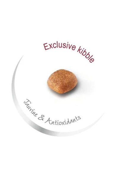 Royal Canin Cavalier King Charles 27 Yetişkin Köpek Maması 3 kg ürün görseli 1