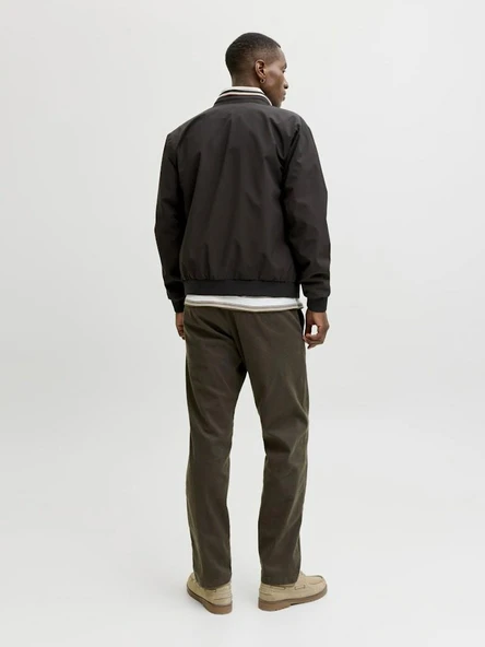 Jack Jones Blubead Bomber Erkek Ceket 12273393 - Resim 5