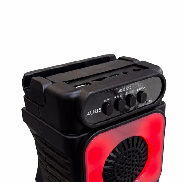 Auris KLN250 10W Kablosuz Bluetooth Hoparlör - Resim 2