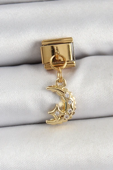 316L Çelik Sallantılı Zirkon Taşlı Ay Model Gold Renk Nomination Charm ürün görseli 1